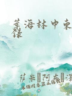 叶海林中东风云录