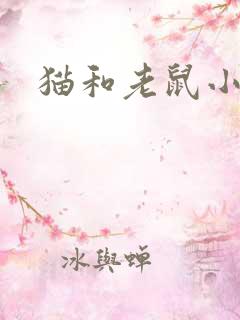 猫和老鼠小说