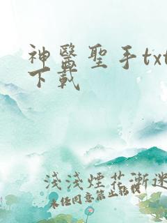 神医圣手txt下载