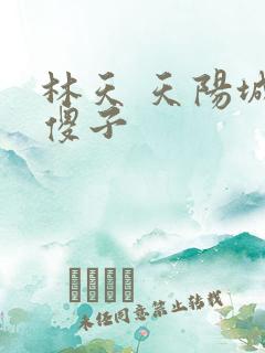 林天 天阳城 傻子