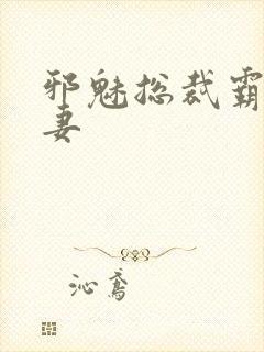 邪魅总裁霸占新妻