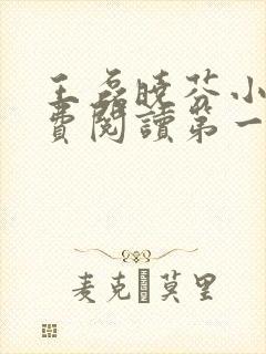 王磊晓芬小说免费阅读第一章