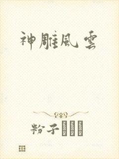 神雕风云