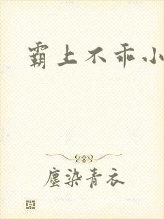 霸上不乖小逃妻