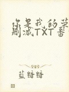 你是我的荣耀未删减TXT番外
