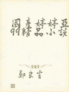 国产婷婷亚洲999精品小说