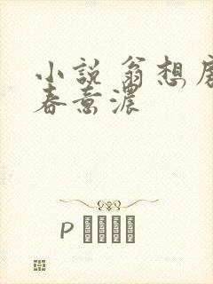 小说 翁想房中春意浓