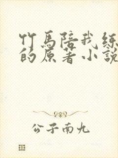 竹马陪我练技术的原著小说