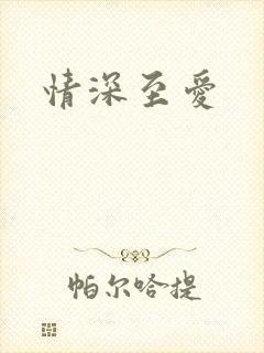 情深至爱