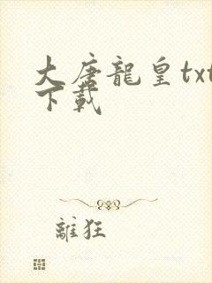 大唐龙皇txt下载