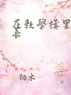 在教学楼里和学长