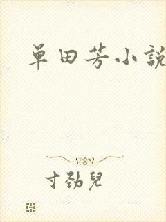 单田芳小说