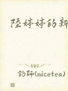 陆婷婷的新故事