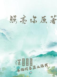 照亮你原著小说