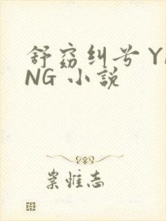 舒窈纠兮 YING 小说