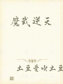 魔武逆天