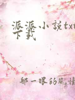 派派小说txt下载