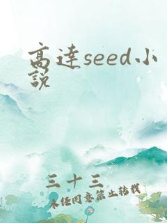 高达seed小说