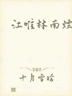 江唯林南烟