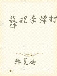 苏醒李炜打架事件