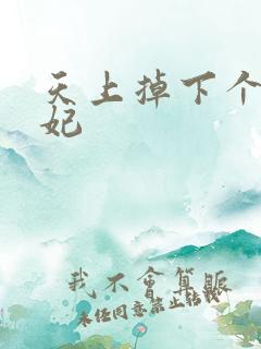 天上掉下个奇王妃