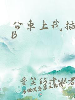 公车上我插上骚B