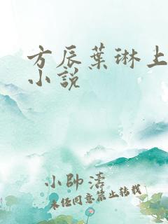 方辰叶琳上官步小说