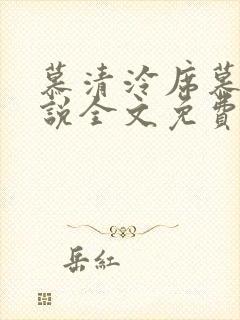 慕清泠席慕深小说全文免费阅读