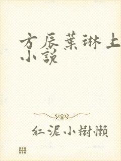 方辰叶琳上官步小说