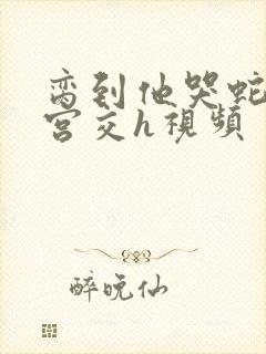 脔到他哭蛇双根宫交h视频