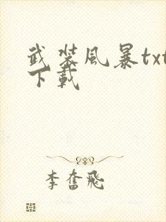 武装风暴txt下载