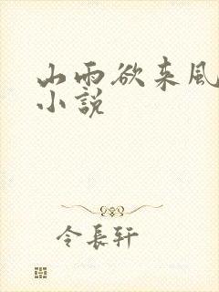 山雨欲来风满楼小说