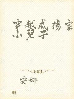 穿越成杨家将最小儿子