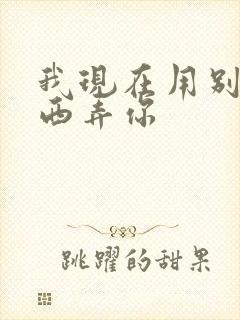 我现在用别的东西弄你