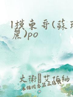 l模东哥(苏玛丽)po