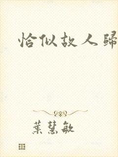 恰似故人归小说