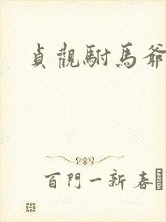 贞观驸马爷苏牧