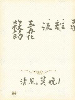 杀手 流离寻岸的花