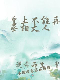 皇上不能再进了丞相大人