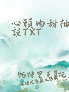 心头肉甜柚子小说TXT