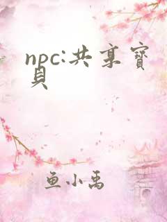 npc:共享宝贝