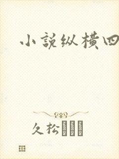 小说纵横四海