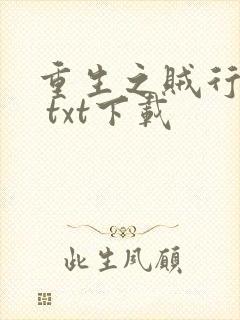 重生之贼行天下 txt下载