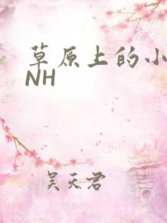 草原上的小公主NH