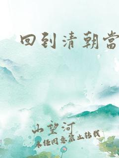 回到清朝当总统