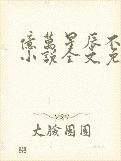 亿万星辰不及你小说全文免费阅读