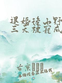 退婚后山野糙汉三天被宠成宝小说