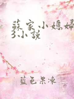 苏家小媳妇1V3小说