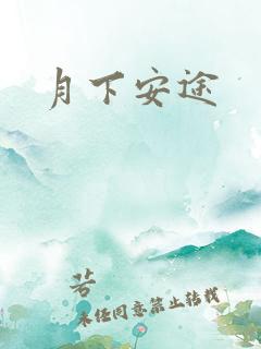 月下安途