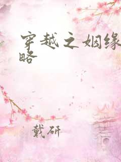 穿越之姻缘劫攻略